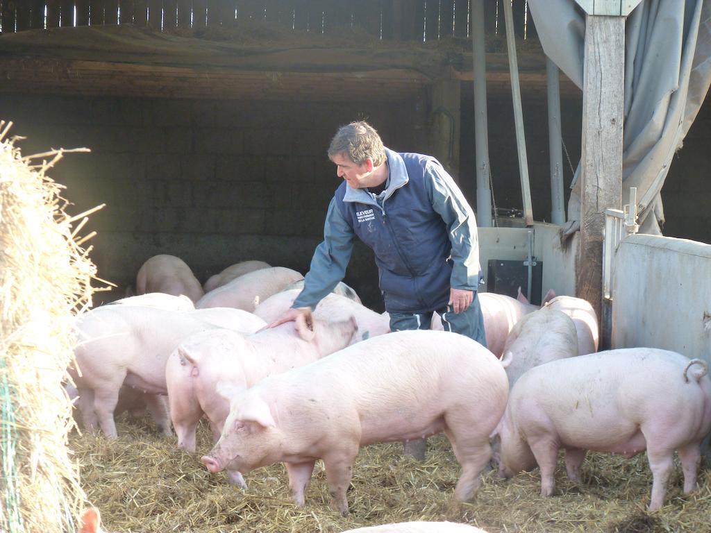 مبيت وإفطار Chantenay-Villedieu La Ferme Chauvet المظهر الخارجي الصورة